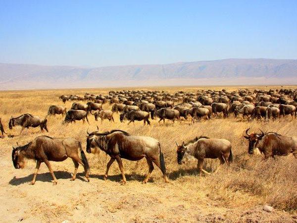East African budget overland tour