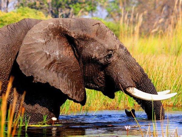 East African budget overland tour
