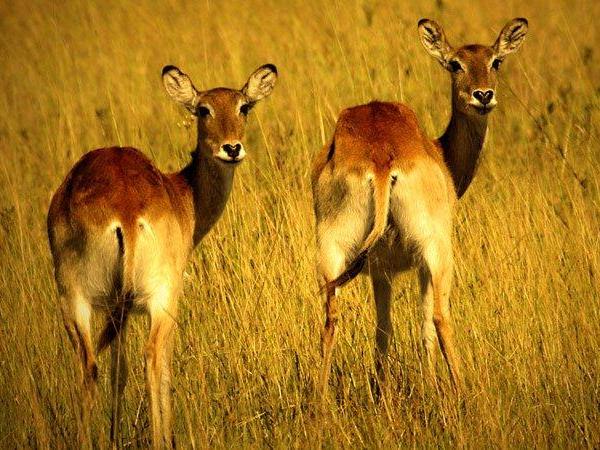East African budget overland tour