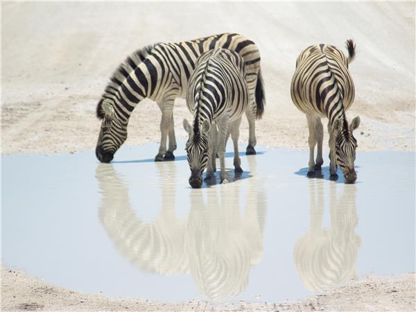 Namibia biking vacation