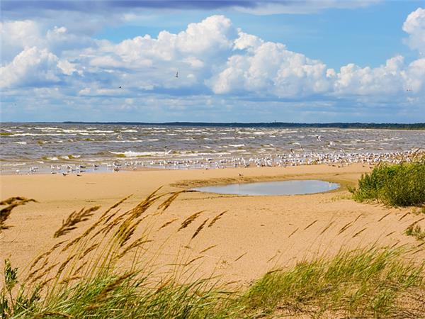 Biking vacation in the Baltics