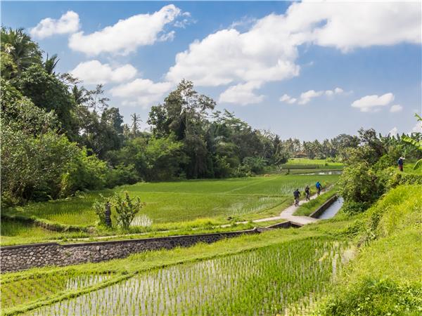 Indonesia luxury adventure vacation