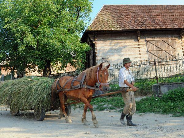 Romania hiking vacation, 'Along the Enchanted Way' tour