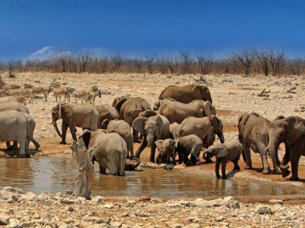 Vacation to Namibia