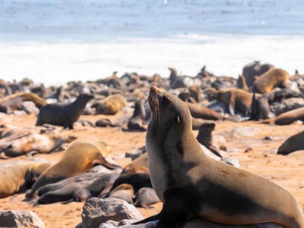 Vacation to Namibia
