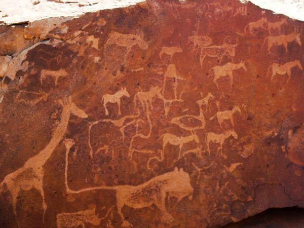 Vacation to Namibia