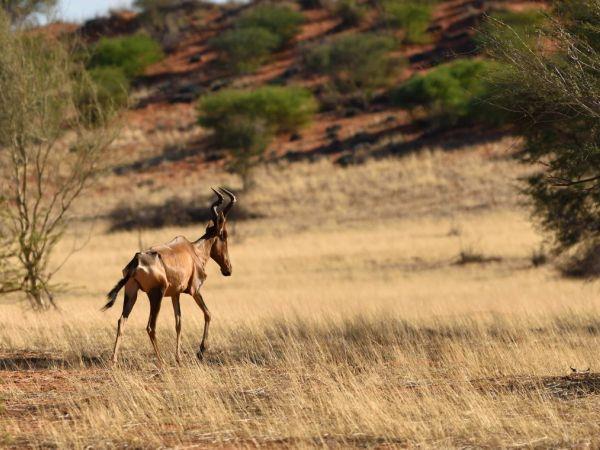Vacation to Namibia