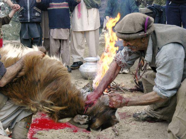 Kalash winter solstice vacation in Pakistan