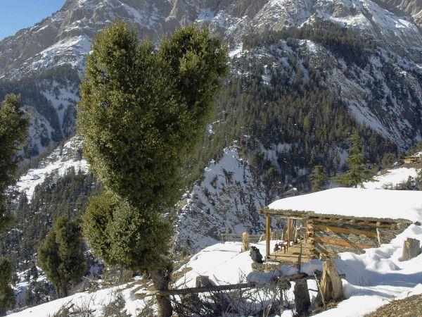 Kalash winter solstice vacation in Pakistan