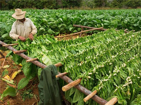 Cuba tour, small group with added comfort