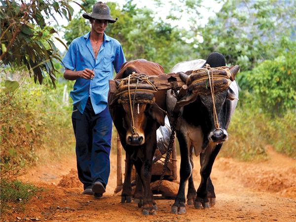 Cuba tour, small group with added comfort