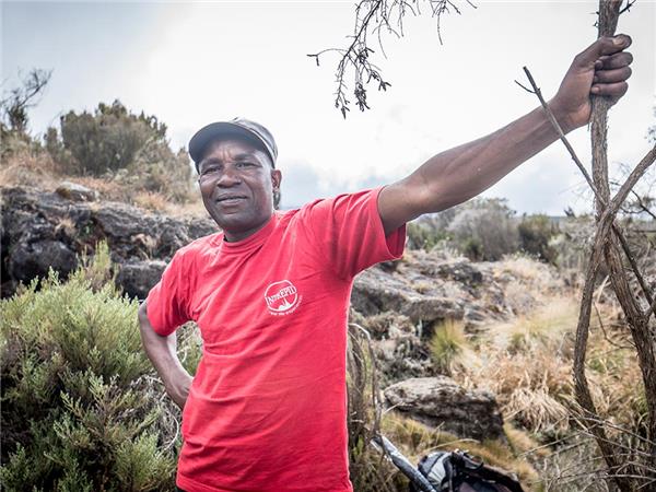 Climbing Kilimanjaro Marangu route vacation, Tanzania