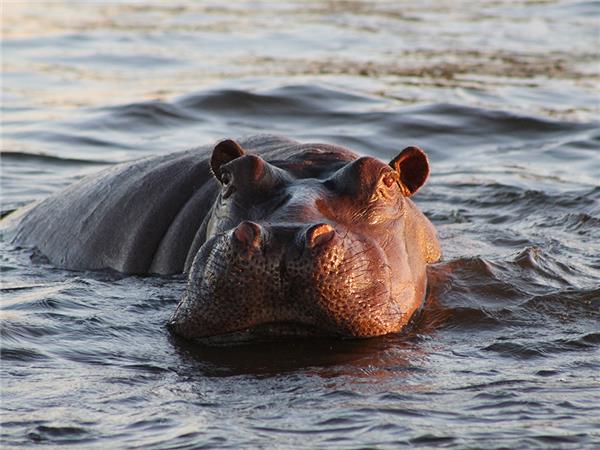 Southern Africa budget vacation