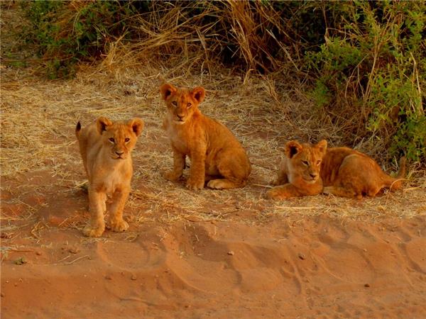 Southern Africa budget vacation