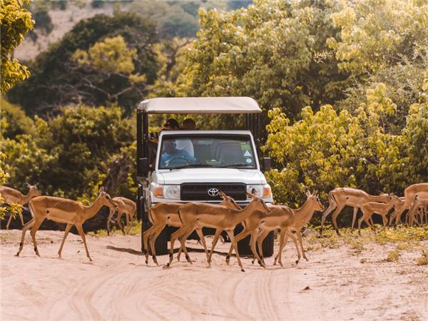 Southern Africa budget vacation