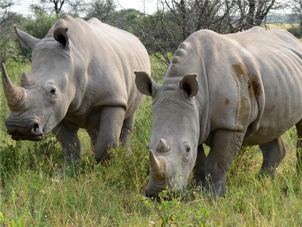 Southern Africa budget vacation
