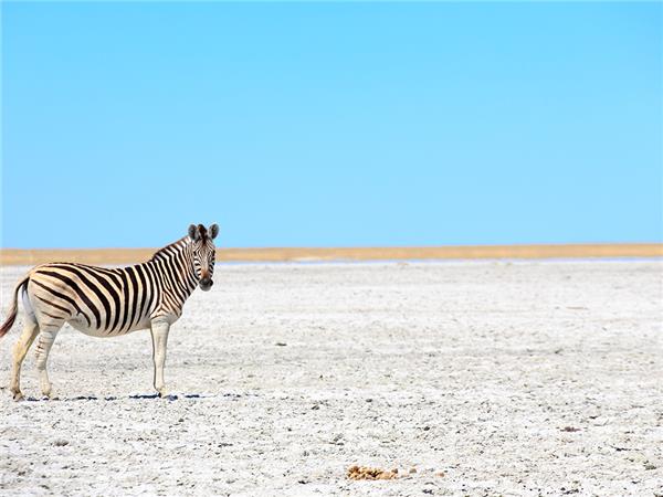 Southern Africa budget vacation
