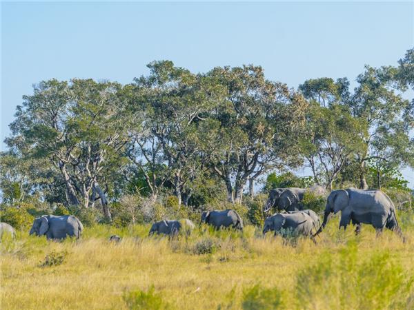 Southern Africa budget vacation