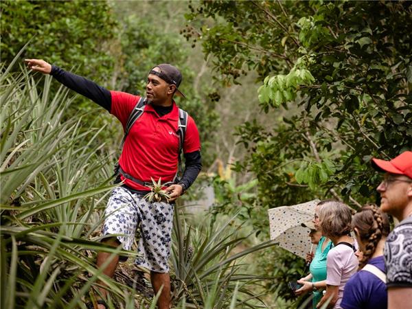 Borneo small group vacation