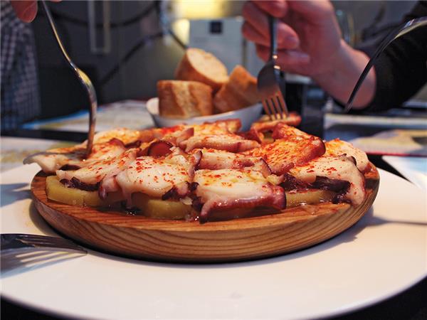 North Spain small group vacation, a food adventure