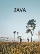 Java vacations