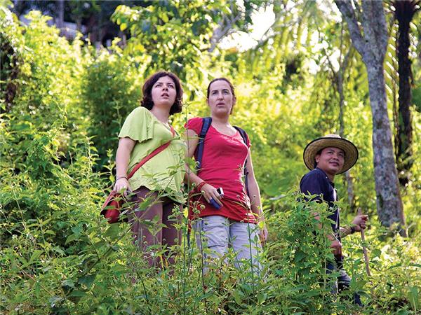 Premium Borneo small group tour