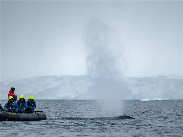 Best of Antarctica vacation