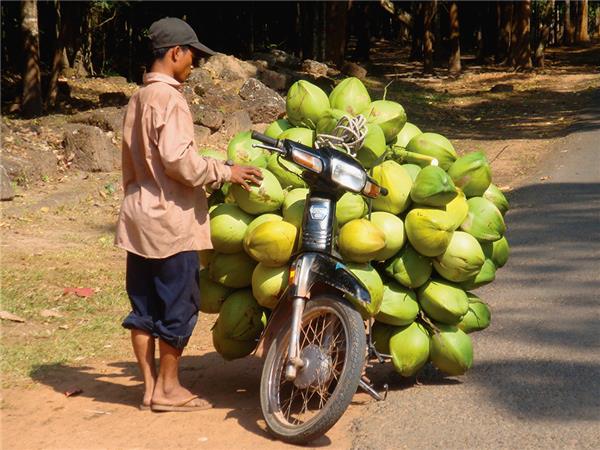 Cambodia small group tour, a food adventure