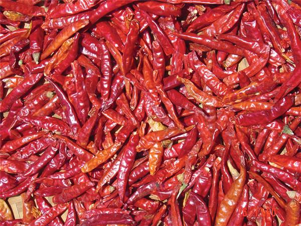 Cambodia small group tour, a food adventure