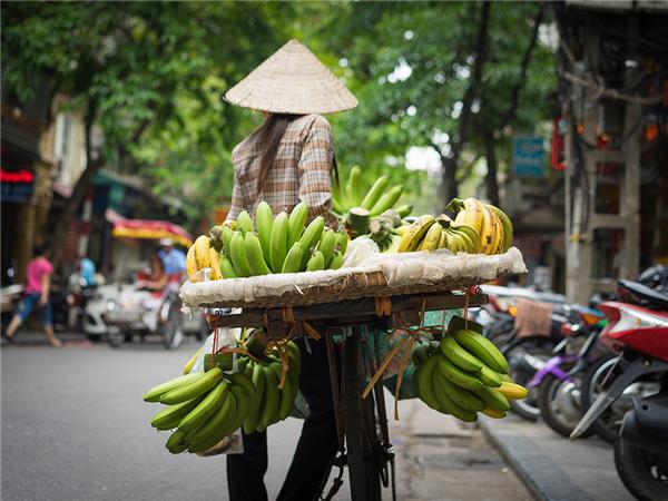 Vietnam biking vacation, small group
