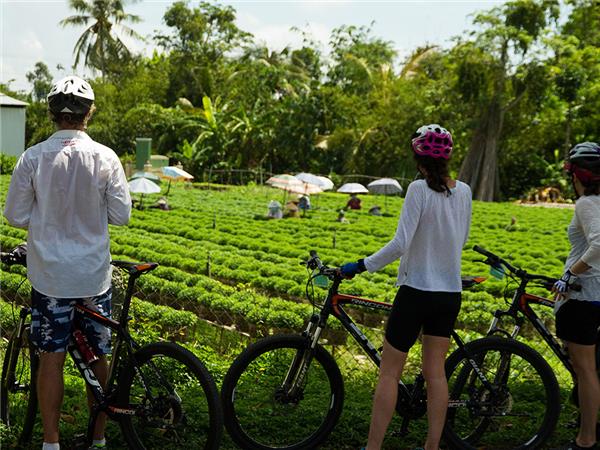 Vietnam biking vacation, small group
