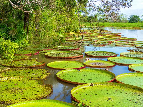 Peru small group vacation, Inca Trail & Amazon