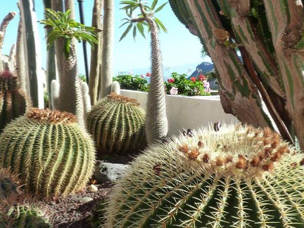 La Gomera self guided hiking, Canary Islands