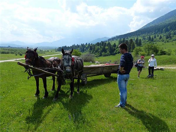 Carpathian Mountains conservation & culture vacation