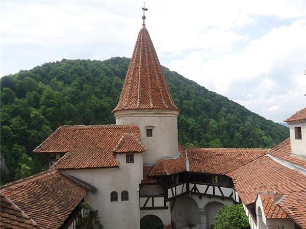 Carpathian Mountains conservation & culture vacation