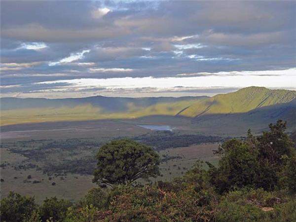 Kenya and Tanzania safari adventure