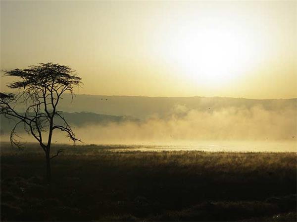 Kenya and Tanzania safari adventure
