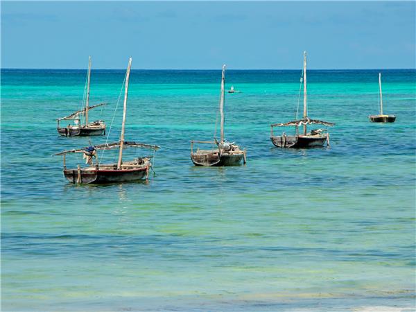 Kenya and Tanzania safari adventure