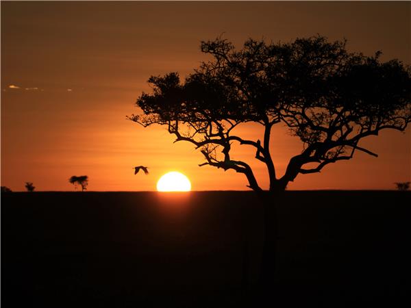 Kenya and Tanzania safari adventure