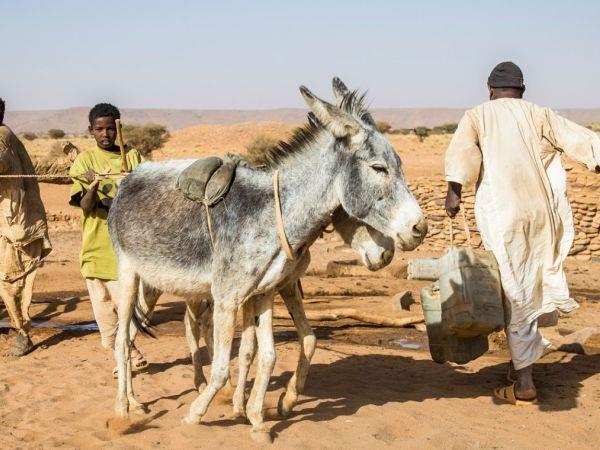 Sudan cultural vacation