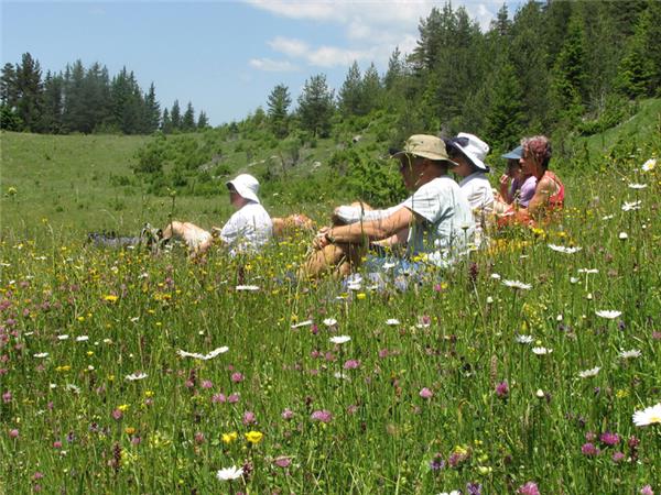 Rodopi mountains hiking vacation in Bulgaria