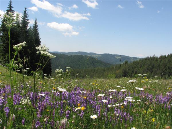 Rodopi mountains hiking vacation in Bulgaria