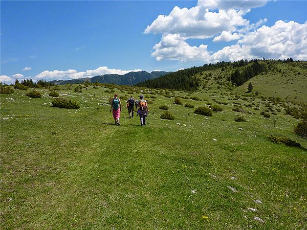 Rodopi mountains hiking vacation in Bulgaria