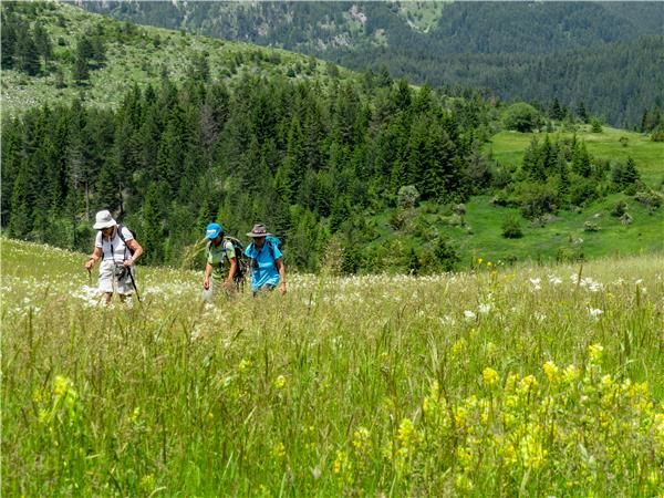 Rodopi mountains hiking vacation in Bulgaria