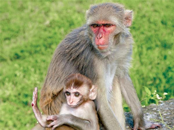 Family adventure vacation in Nepal