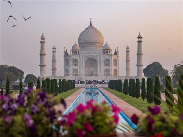 Family vacation to India, sightseeing and safari