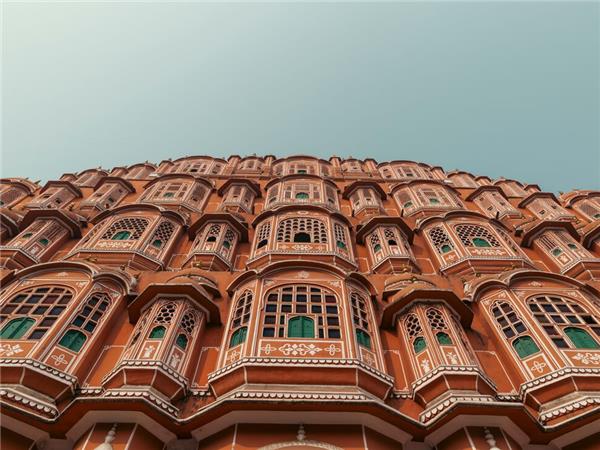 Family vacation to India, sightseeing and safari