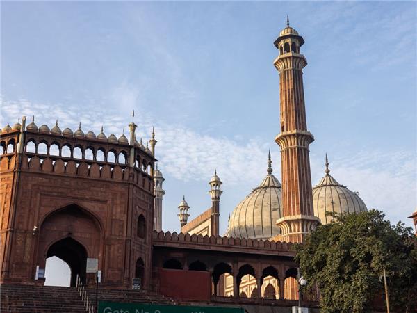 Family vacation to India, sightseeing and safari