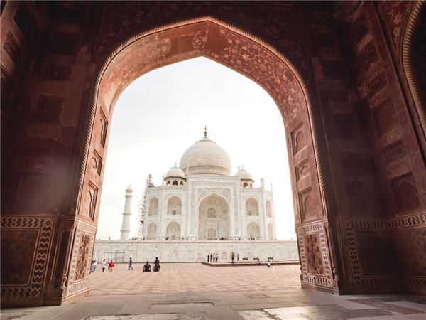 Family vacation to India, sightseeing and safari