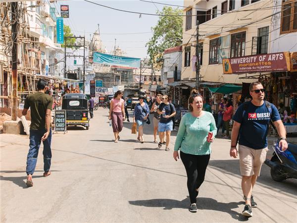 Family vacation to India, sightseeing and safari
